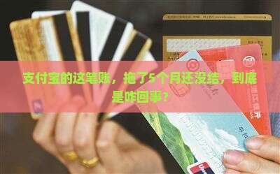 支付宝欠了5个月了 支付宝欠了5个月了