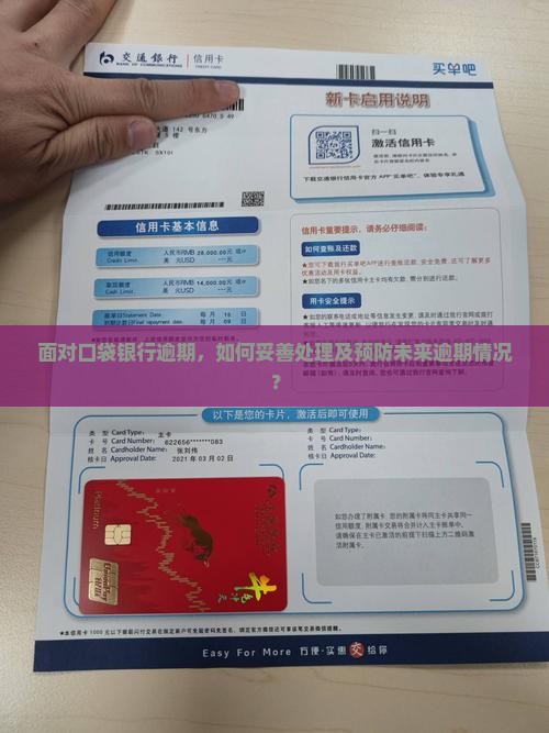 口袋银行逾期后该如何处理