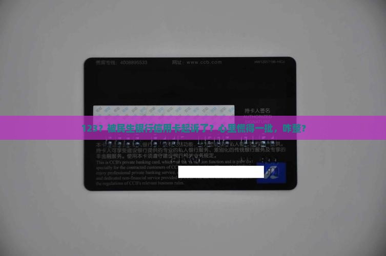 民生银行信用卡怎么起诉我