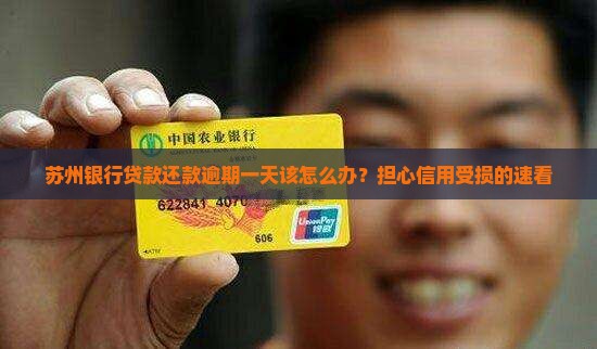 苏州银行贷款还款逾期一天该怎么办
