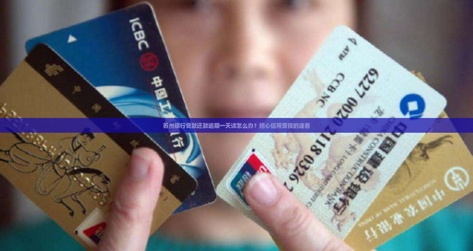 苏州银行贷款还款逾期一天该怎么办