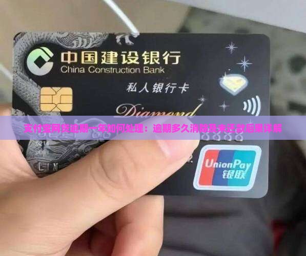 支付宝网贷逾期一年如何处理