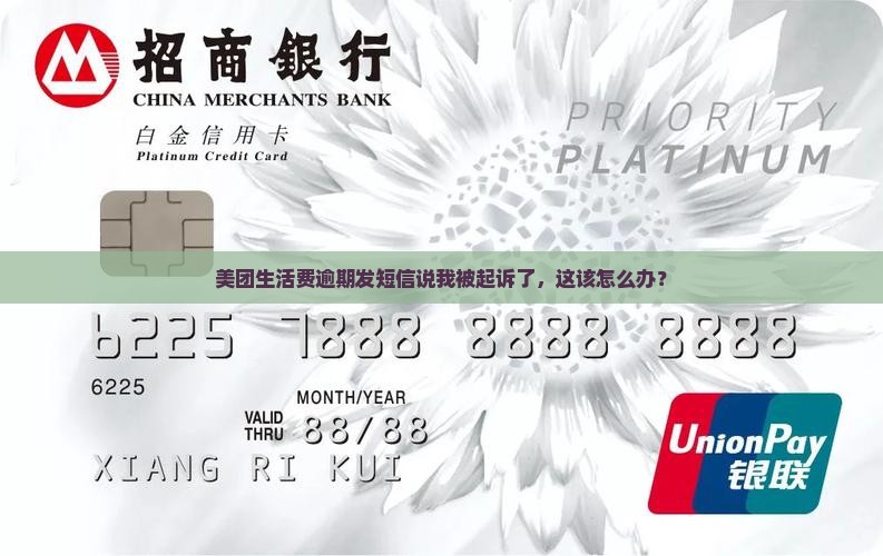 美团生活费发短信说起诉我该怎么处理