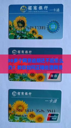 30多个网贷逾期怎么办