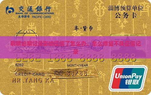 明明逾期了征信怎么办