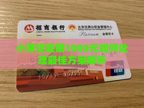 小芽贷逾期1000元如何处理