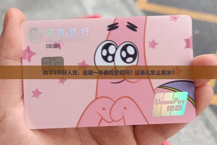 好人贷欠二万逾期一年会被起诉吗怎么办理
