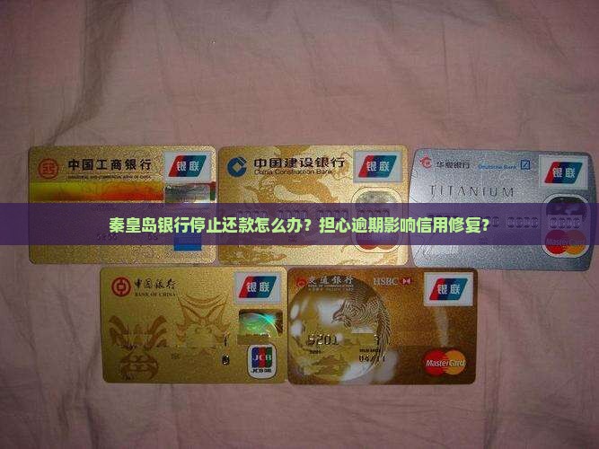 秦皇岛银行停止还款怎么办