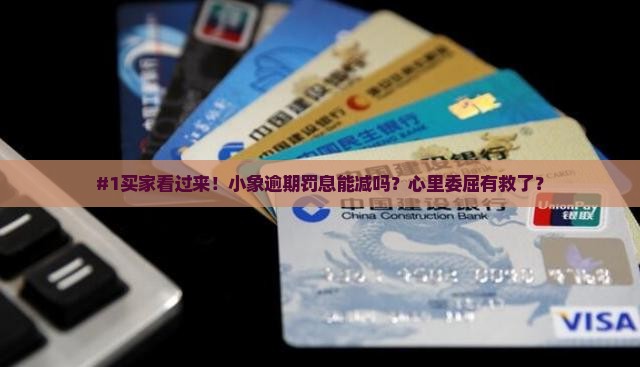 小象逾期罚息减免