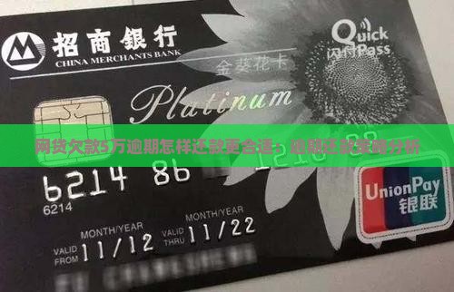 网贷欠款5万逾期怎样还款更合适