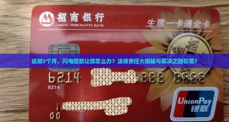 闪电借款逾期3个月后的法律责任和解决方法
