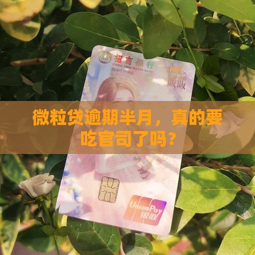 微粒贷逾期半月要起诉吗
