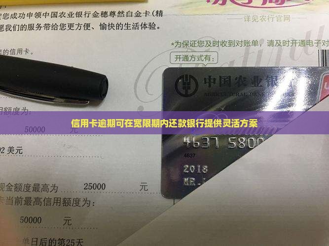 信用卡逾期宽限期内还款