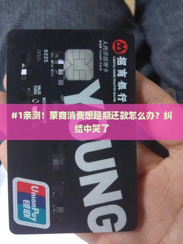 蒙商消费延期还款流程详解