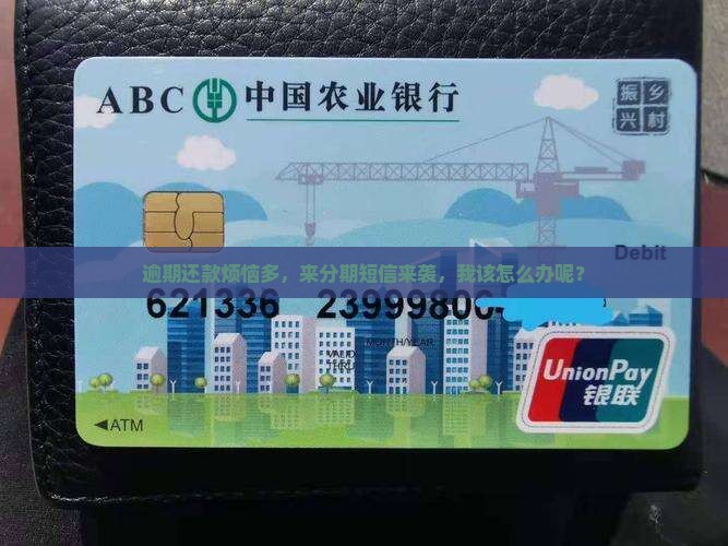 来分期逾期发短信怎么处理