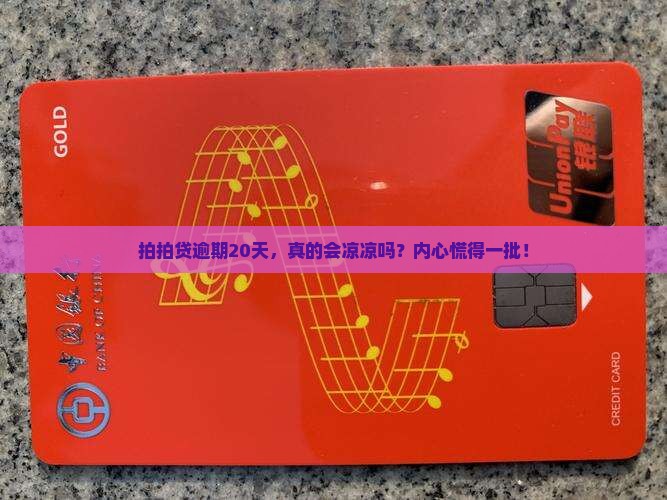拍拍贷逾期20天会怎样