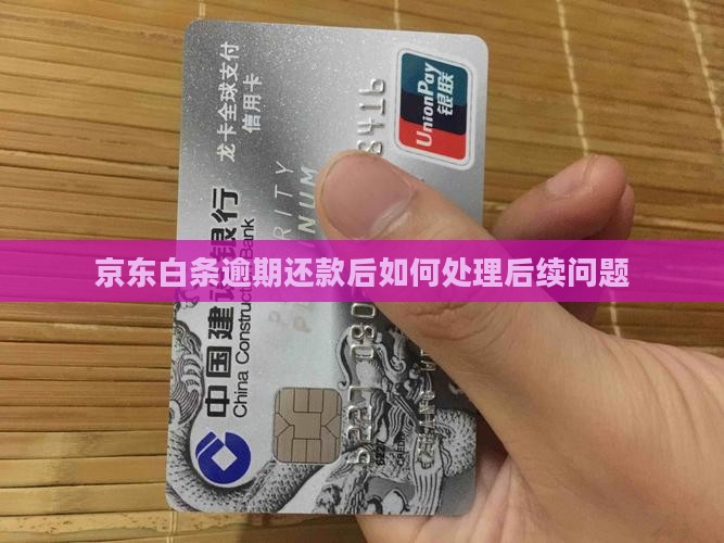 京东白条逾期了还完了怎么办