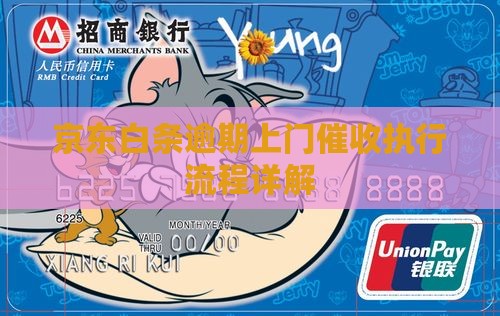 白条逾期发短信上门执行流程