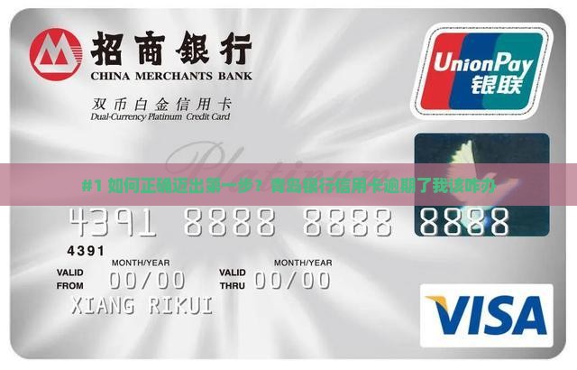 青岛银行信用卡协商还款步骤详解