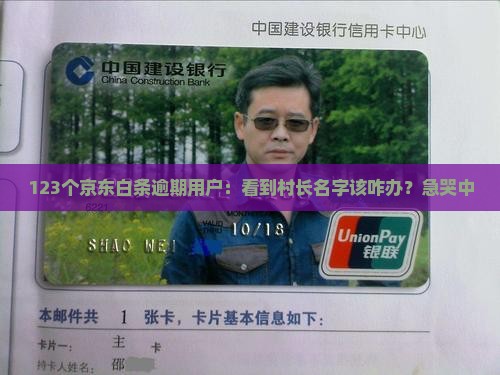 京东白条逾期知道村长名字怎么处理