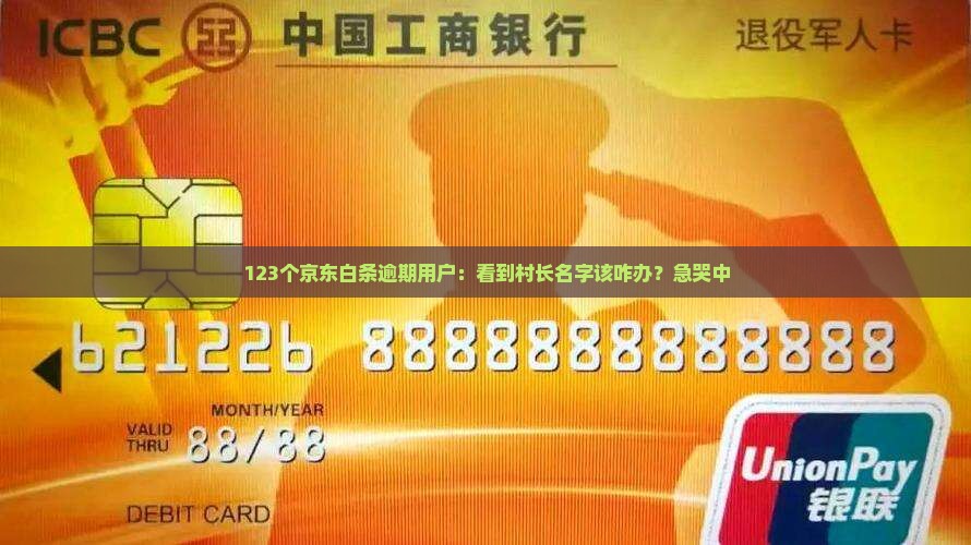 京东白条逾期知道村长名字怎么处理