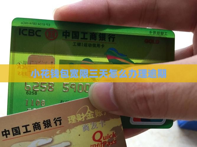 小花钱包宽限三天怎么办理