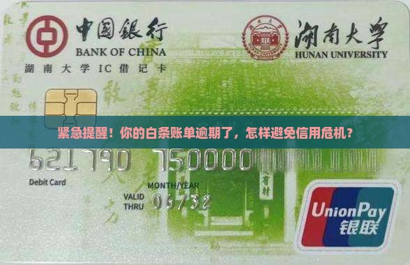 白条逾期通知函范文
