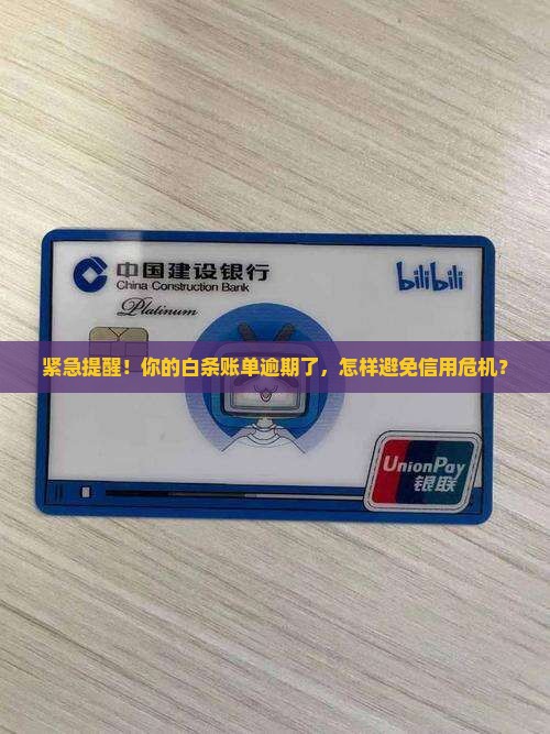 白条逾期通知函范文