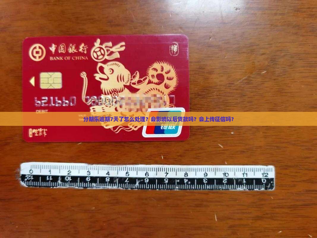 分期乐逾期7天了怎么处理