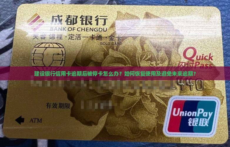 建设银行信用卡逾期已停卡怎么处理