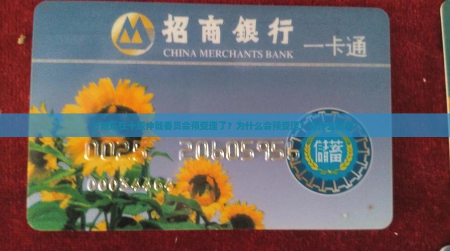 分期乐十堰仲裁委员会预受理