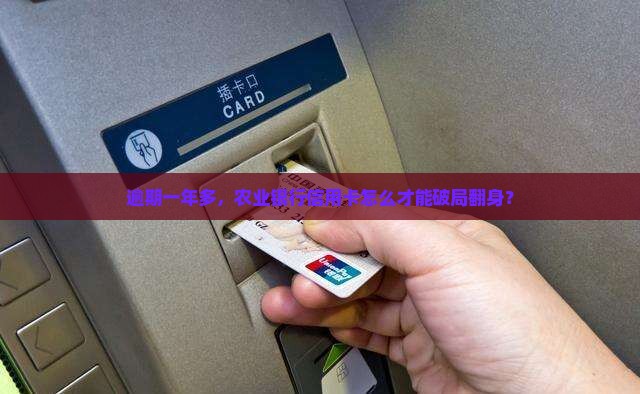 农业银行信用卡逾期一年多怎么处理
