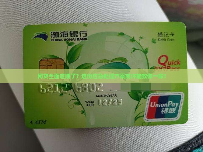 网贷全面逾期应急处理方案