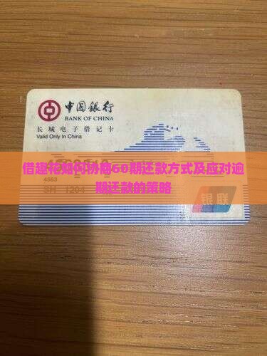 借趣花如何协商60期还款方式