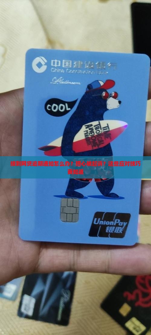 接到网贷逾期通知怎么办
