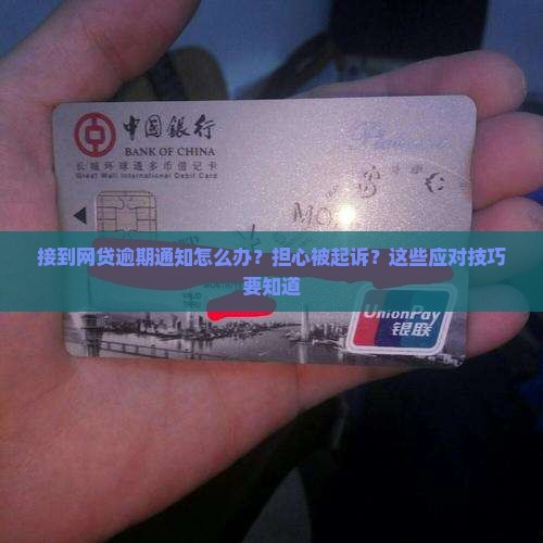 接到网贷逾期通知怎么办