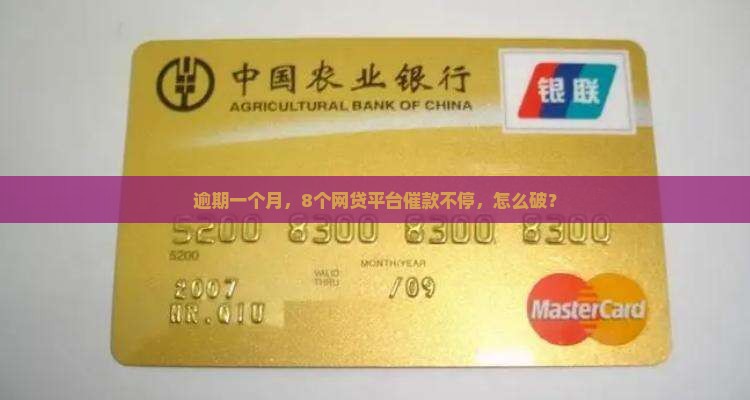 8个网贷同时逾期一个月如何处理