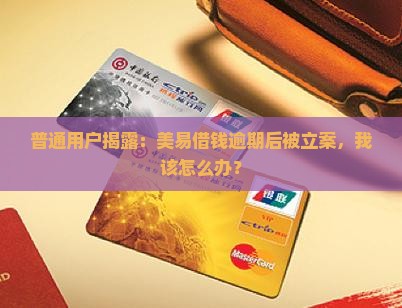 美易借钱逾期被立案