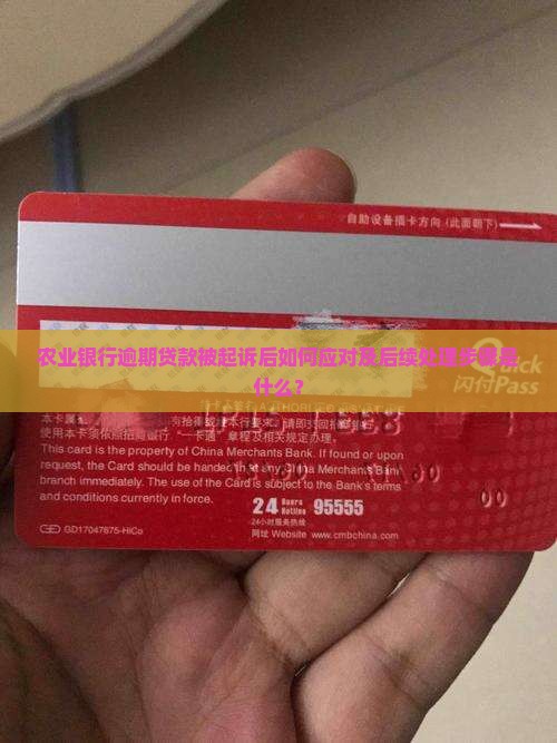 农业银行逾期被起诉后怎么做