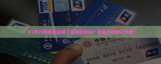 农行网捷贷逾期会被起诉吗怎么处理