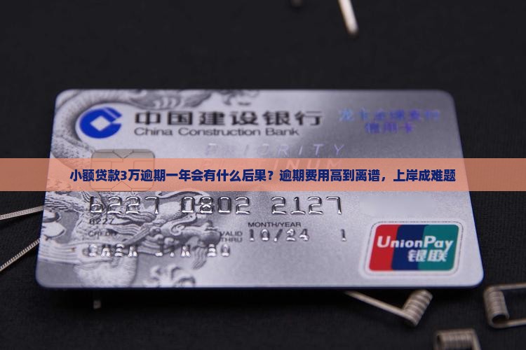 小额贷款3万逾期一年会有什么后果