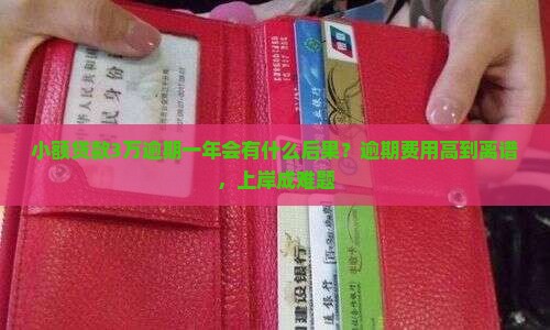 小额贷款3万逾期一年会有什么后果