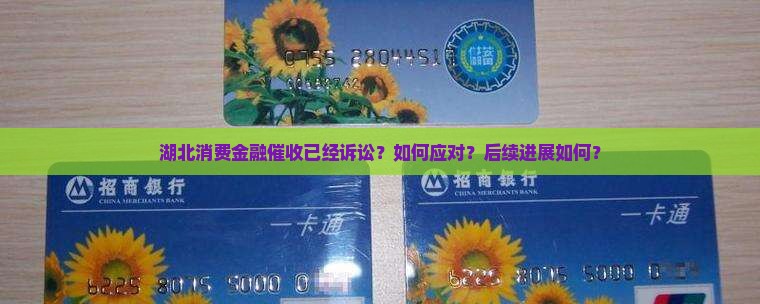 湖北消费金融催收已经诉讼
