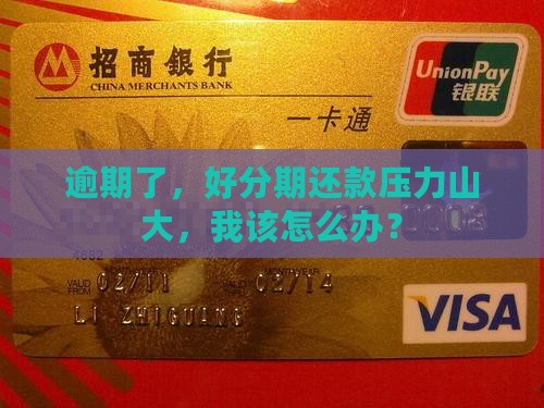 好分期逾期无力还款怎么办