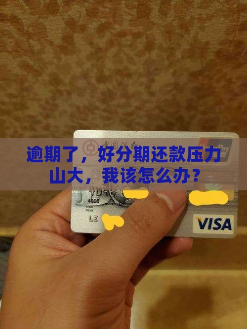好分期逾期无力还款怎么办