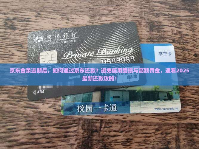 京东金条逾期能去京东还款吗