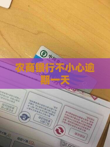 农商银行不小心逾期一天