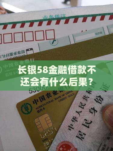 长银58金融借款不还会有什么后果