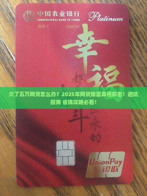 欠了五万网贷怎么办怎么办呢