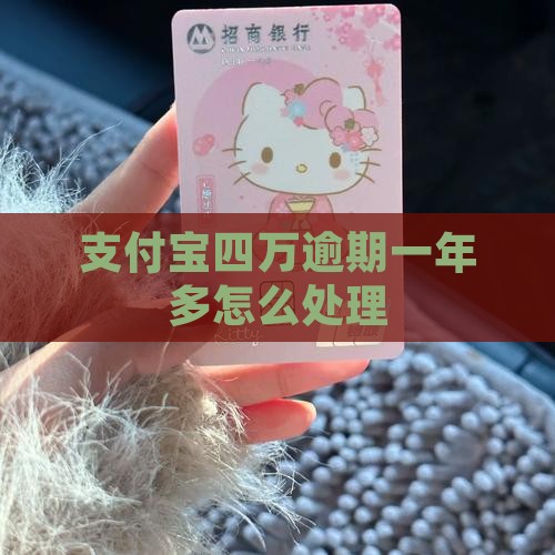 支付宝四万逾期一年多怎么处理
